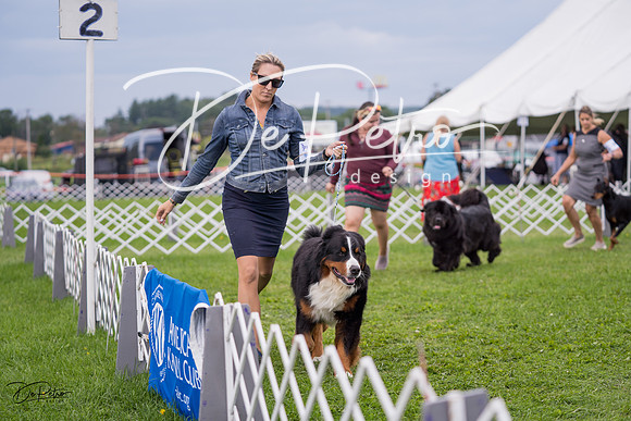 20230818-DSC05965