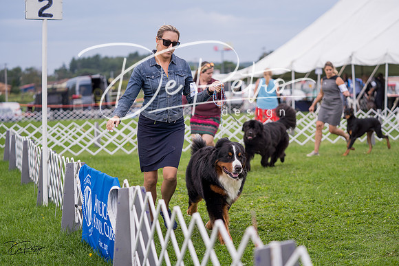 20230818-DSC05967