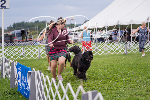 20230818-DSC05972