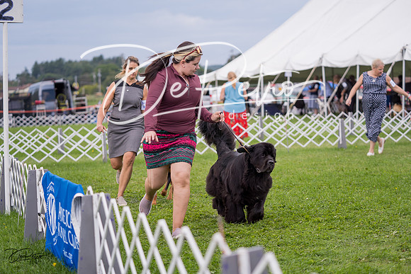 20230818-DSC05974