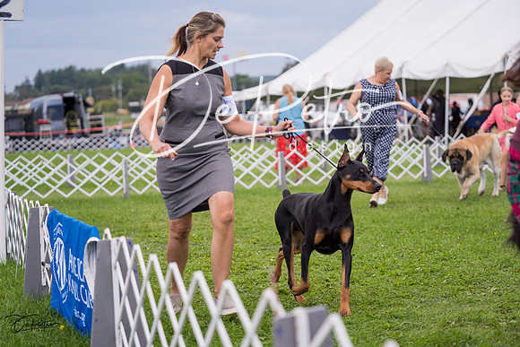 20230818-DSC05978