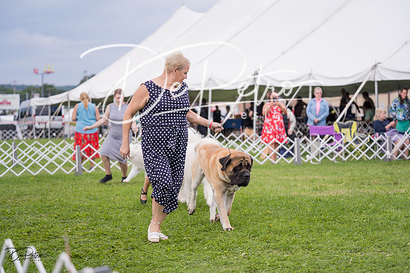 20230818-DSC05984