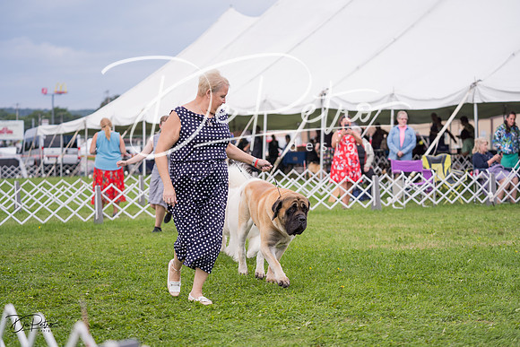 20230818-DSC05983