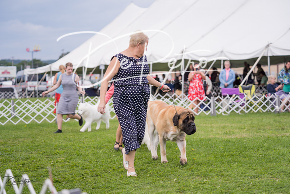 20230818-DSC05986