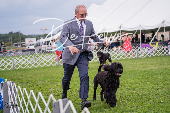 20230818-DSC05932