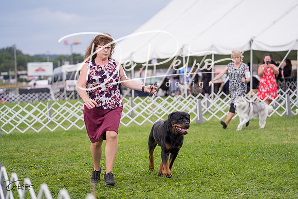 20230818-DSC05936