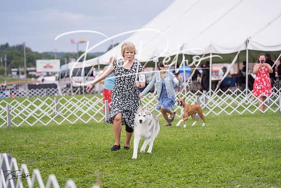 20230818-DSC05937