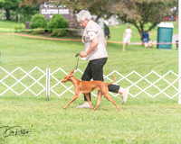 20250628-DSC08304