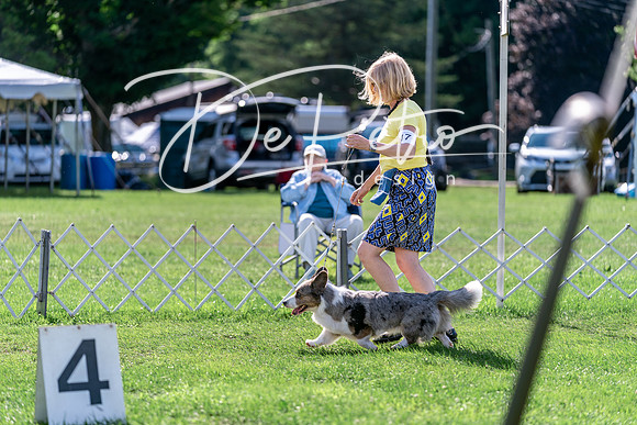 20240630-DSC04958