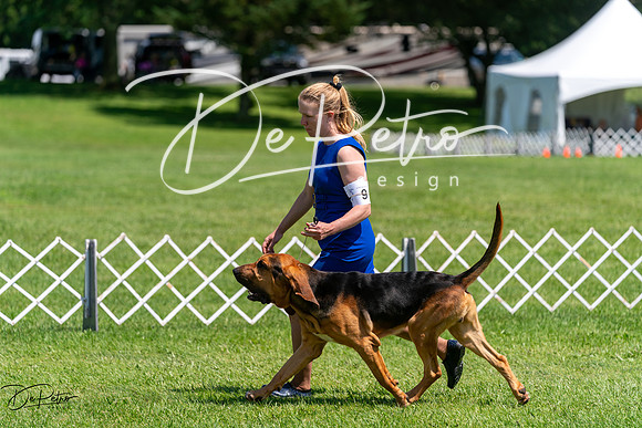 20240630-DSC01992