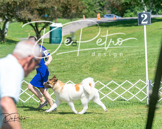 20250629-DSC09883