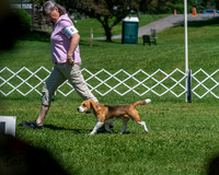 20250629-DSC09514