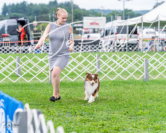 20230818-DSC05287