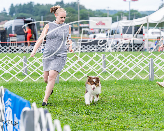 20230818-DSC05289