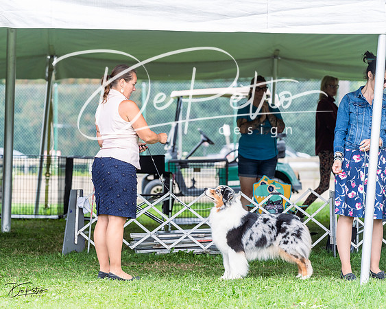 20230818-DSC05315