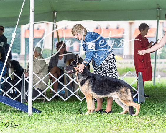 20230818-DSC05318