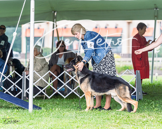 20230818-DSC05319