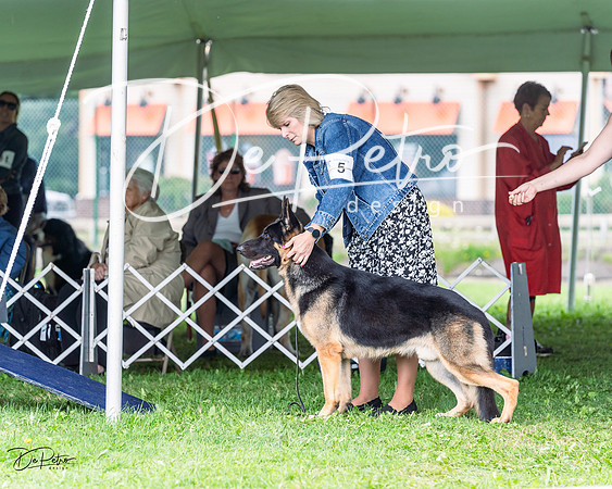 20230818-DSC05320
