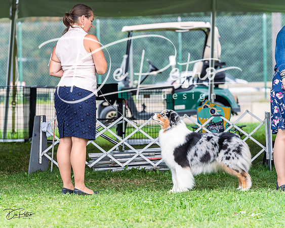 20230818-DSC05321
