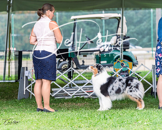 20230818-DSC05322