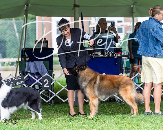 20230818-DSC05324