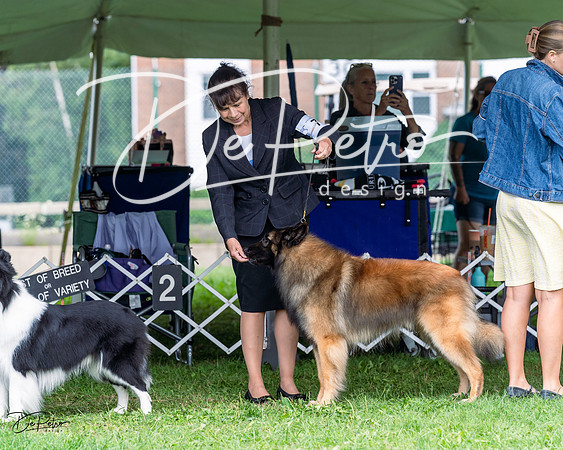 20230818-DSC05325