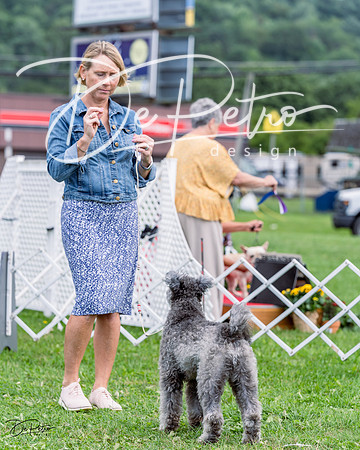20230818-DSC05330