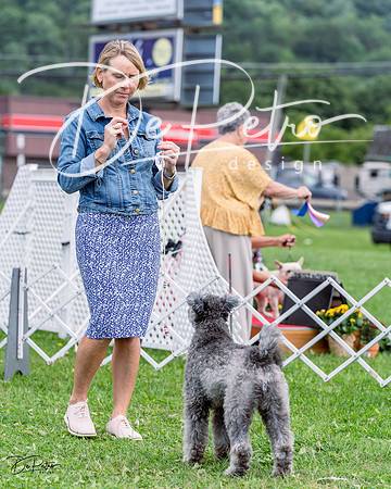 20230818-DSC05331