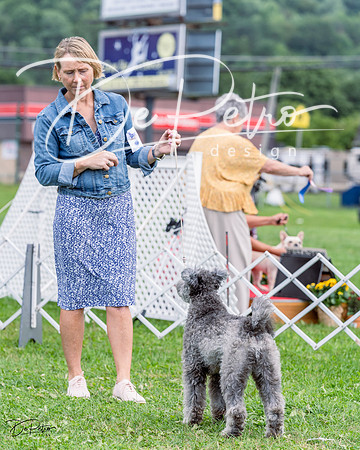 20230818-DSC05334