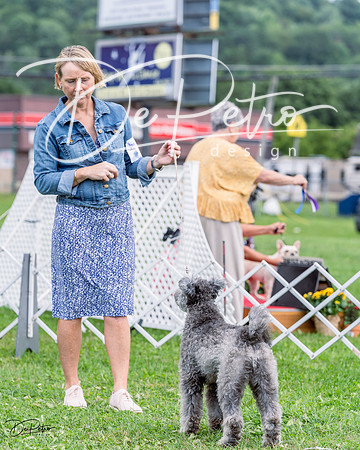 20230818-DSC05333