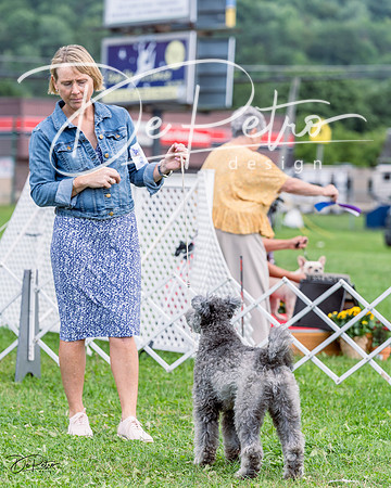 20230818-DSC05335