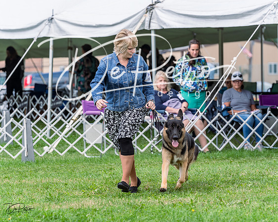 20230818-DSC05337