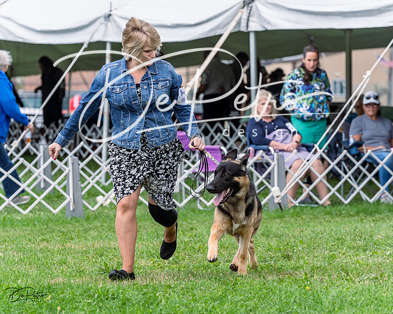 20230818-DSC05341