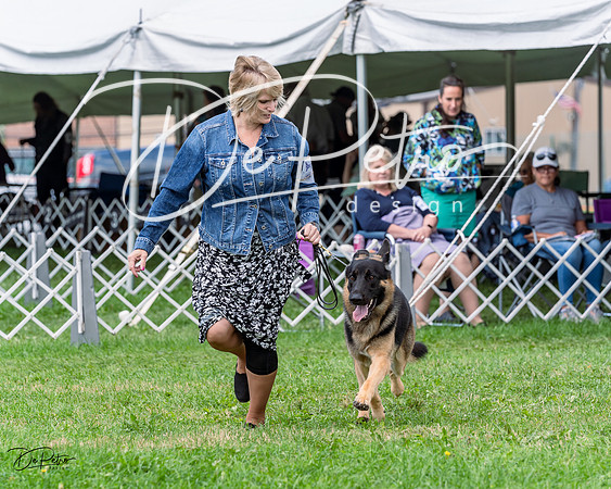 20230818-DSC05339