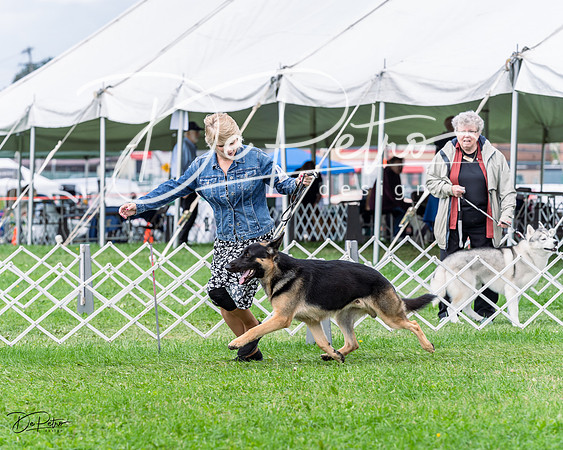 20230818-DSC05357
