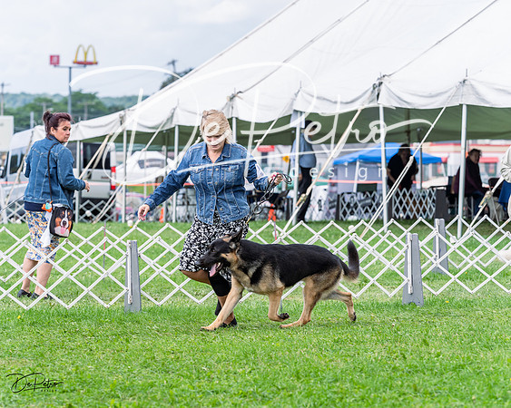 20230818-DSC05360