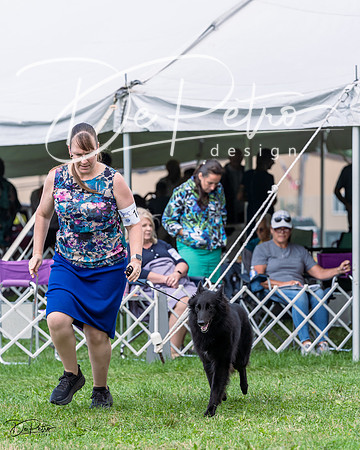 20230818-DSC05370