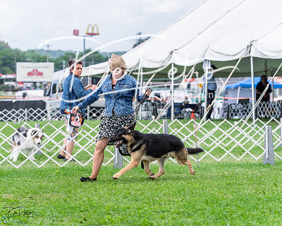 20230818-DSC05362