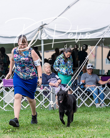 20230818-DSC05371