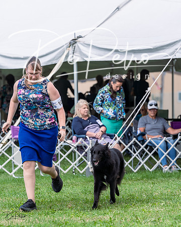 20230818-DSC05372