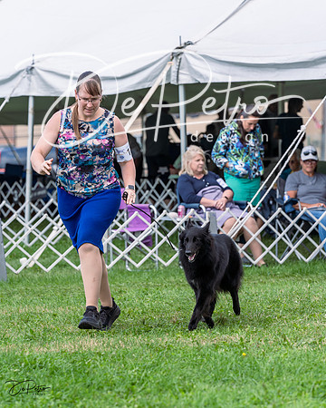 20230818-DSC05374