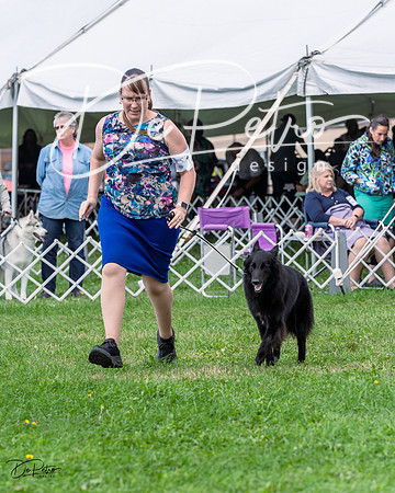 20230818-DSC05378