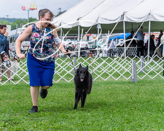 20230818-DSC05381