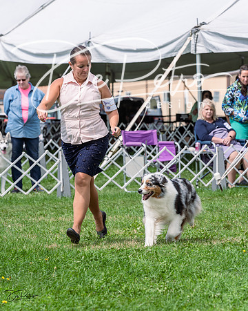 20230818-DSC05400