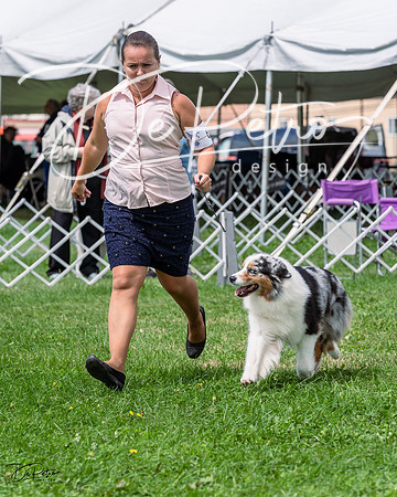20230818-DSC05404