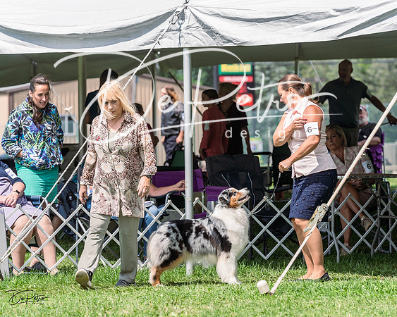 20230818-DSC05409