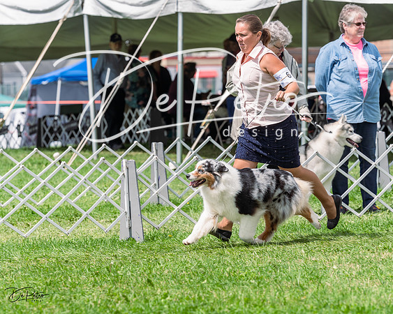 20230818-DSC05422