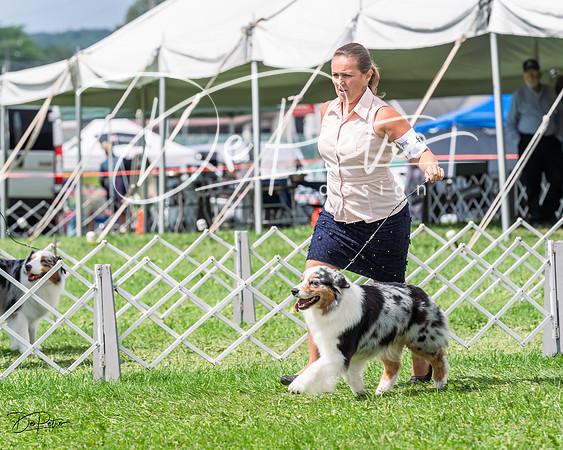 20230818-DSC05428