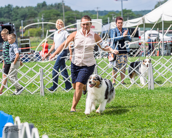 20230818-DSC05439