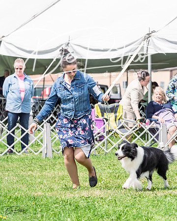 20230818-DSC05442